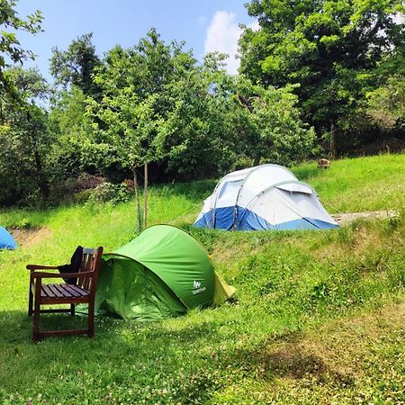 Stanovanie Pod Starym Zamkom - Camping Banská Štiavnica Dış mekan fotoğraf
